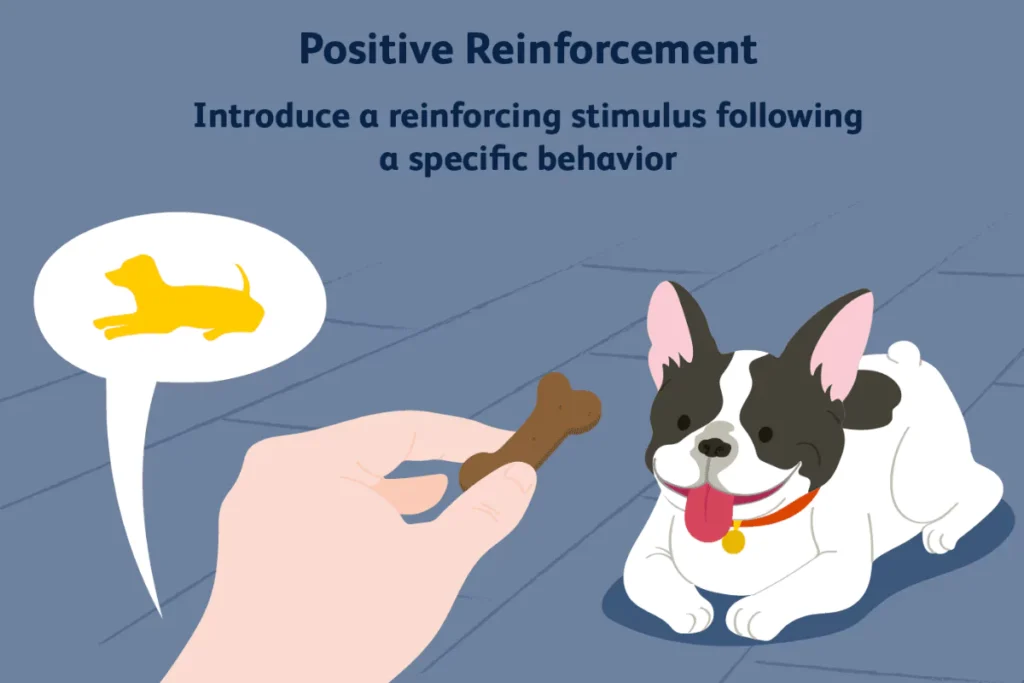 an image of Use Positive Reinforcement